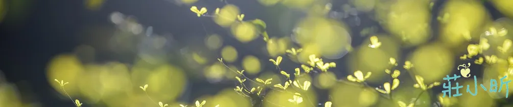 莊小昕❦祕密學院