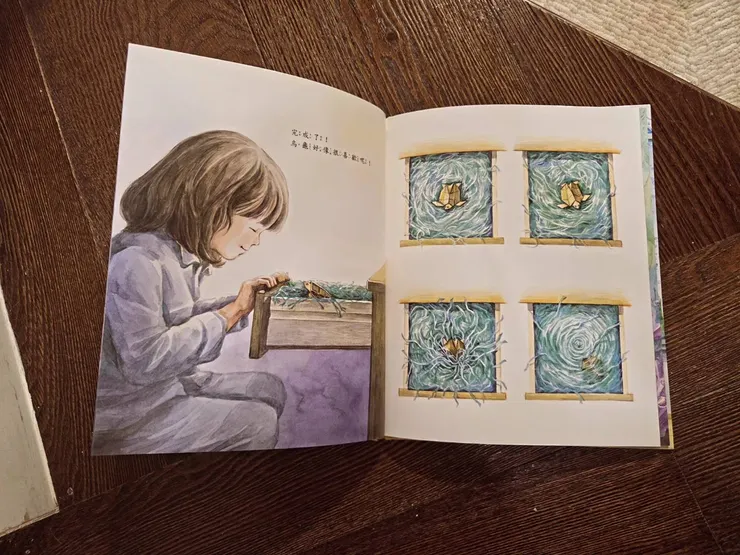 《小慢龜的奇幻之旅》