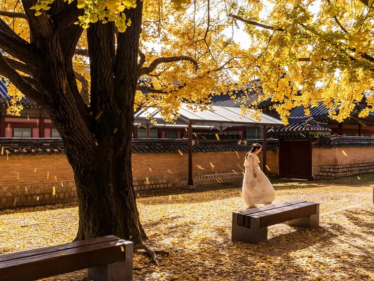Image by 경복김 from Pixabay