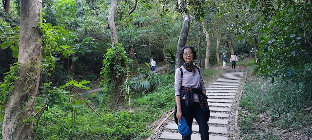 在此分成兩條,左邊通往文山國小登山口