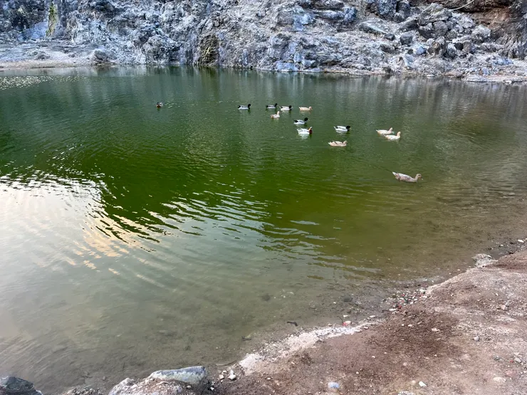 在溫水(應該是)中游泳