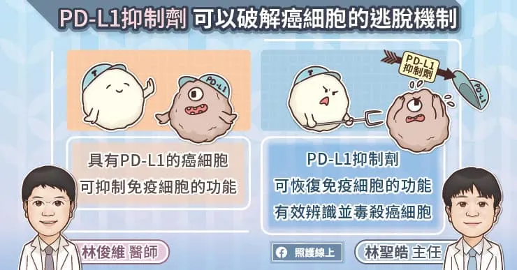 PD-L1抑制劑可以破解癌細胞得逃脫機制