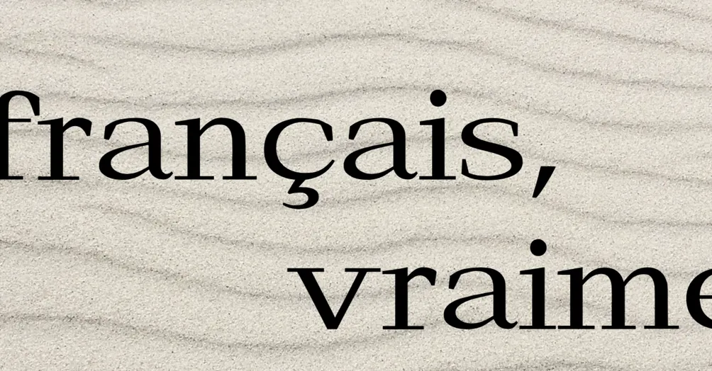 Le français, vraiment. 法文，說真的