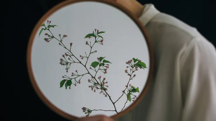 來源:Tina Hsu from corelens