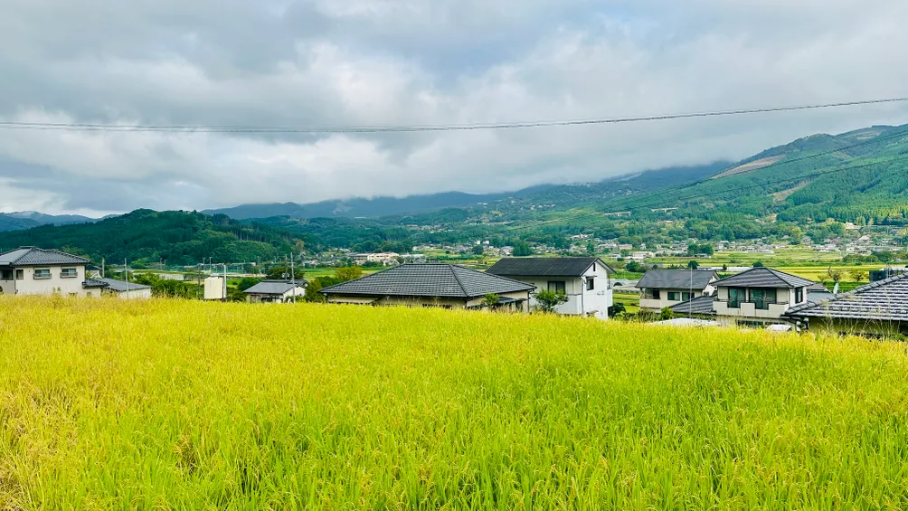 只想工作不想上班的Summer