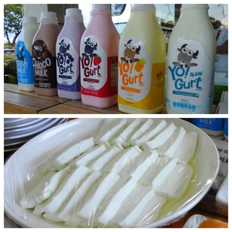 上圖：水牛乳製品。下圖：莫札瑞拉乳酪。