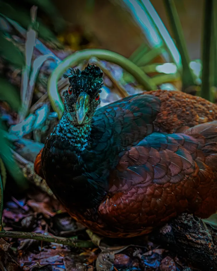 #工作心得 在職場💼不要只是認真就好🟧這6️⃣件事更重要‼️🫡請多為自己好、發掘更多自己的美好❤️ #更新版 #真心話大告白