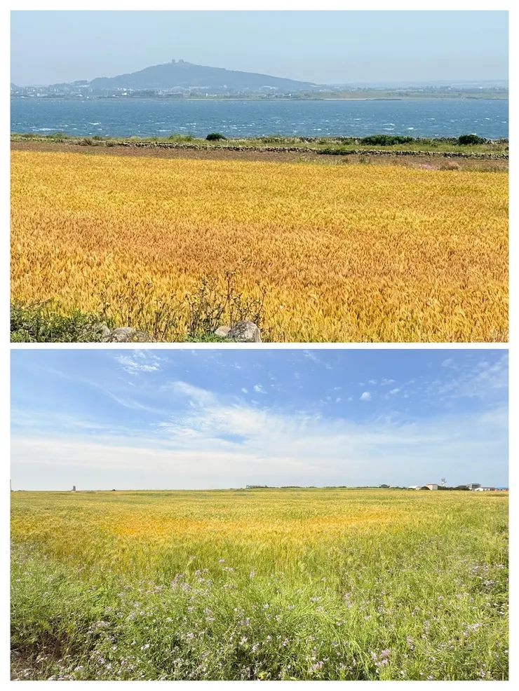 一望無際連接天邊