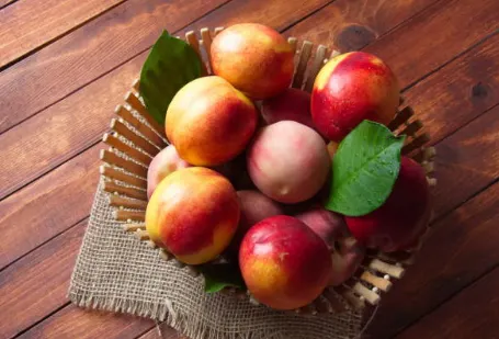 初遇小金時的最愛