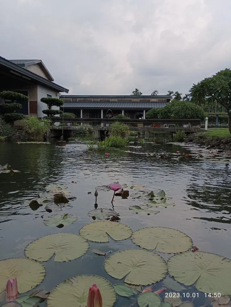 美濃文物館前一方庭池，自拍攝