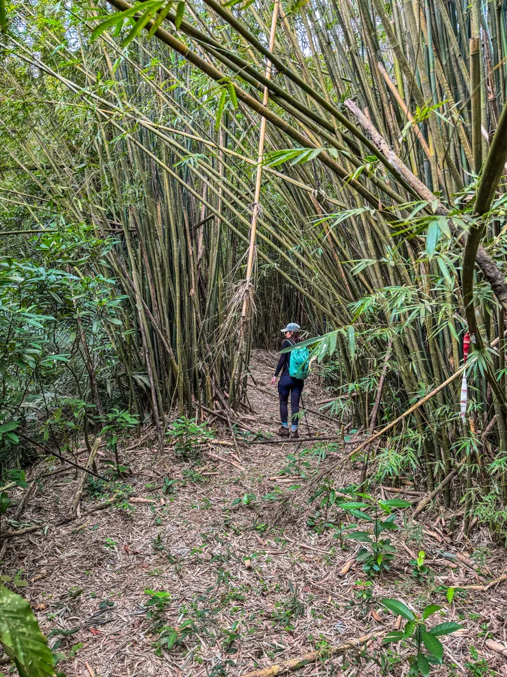一開始海拔不高，剛開始的路都很好走，天氣陰涼是適合爬山的好天氣，到大里簡山的叉路口， 大家發懶不想去，於是繼續往灣坑頭山前進。🤣