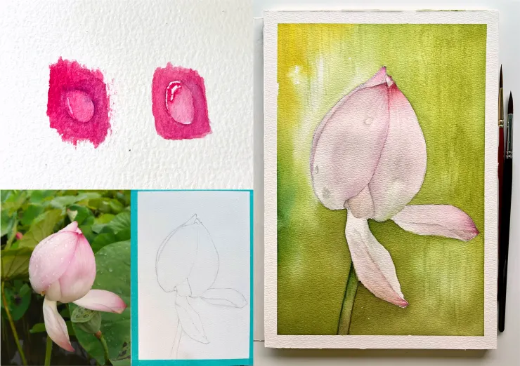 圖YH.CC@水彩練習 W54雨荷, 26x18cm, MAR2024 （攝影Xiaomei Jou）