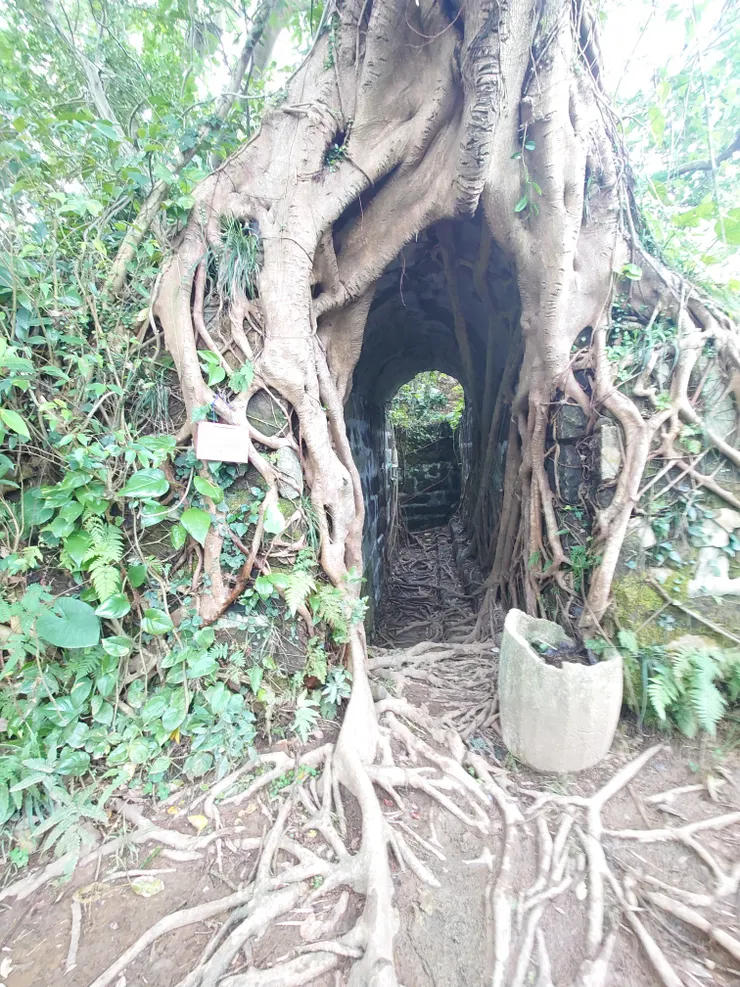 所謂的台版吳哥窟到了，我不曾去過柬埔寨，不予評論