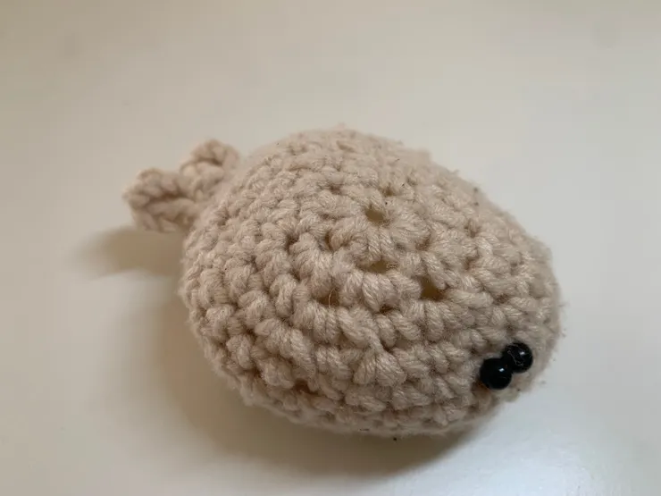 我是鯨魚！你知道嗎？