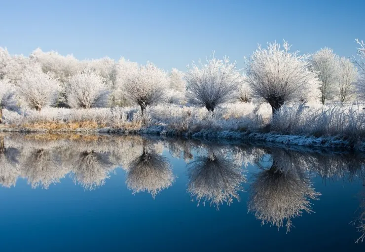 圖片取自網路加以裁剪而成，侵權刪。