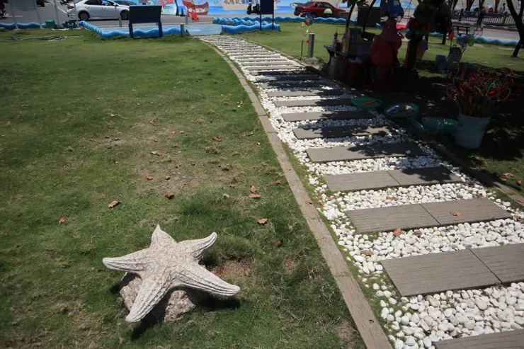 陸地上的海星？