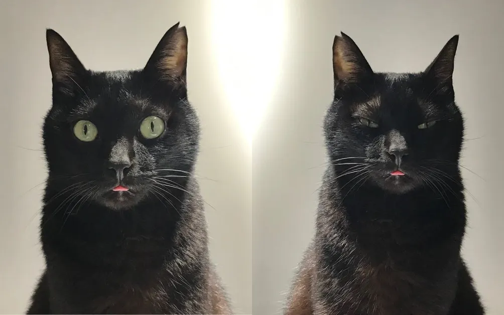 🕖！*：小0開推°•⁺₊˚