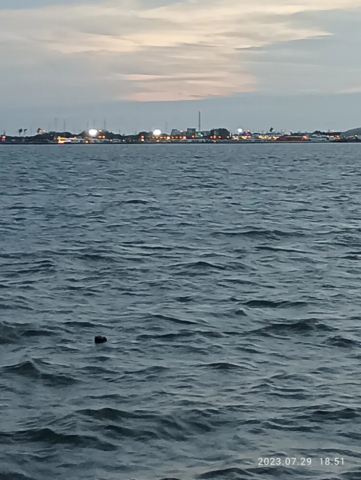 點點浮光，微似星兒閃