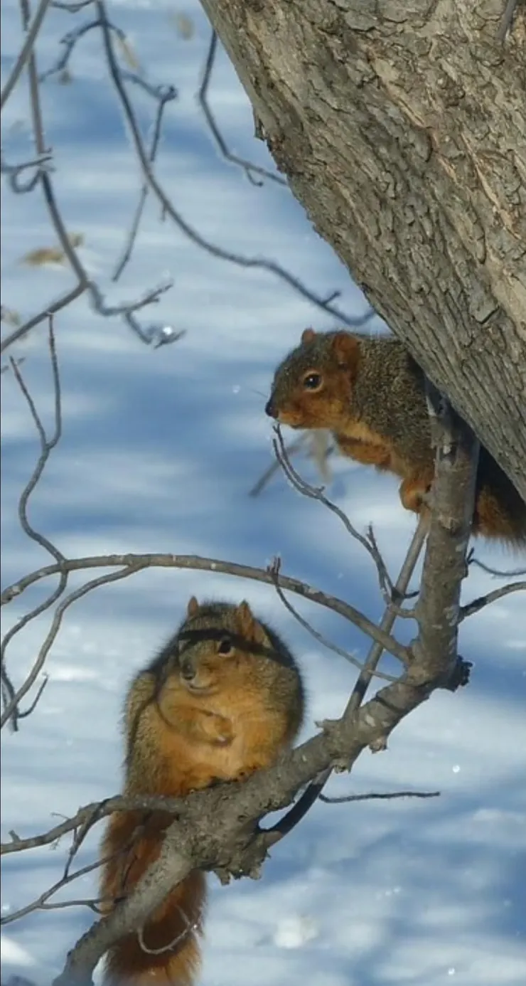 好想跟她發生一些不可描述的事情～羞