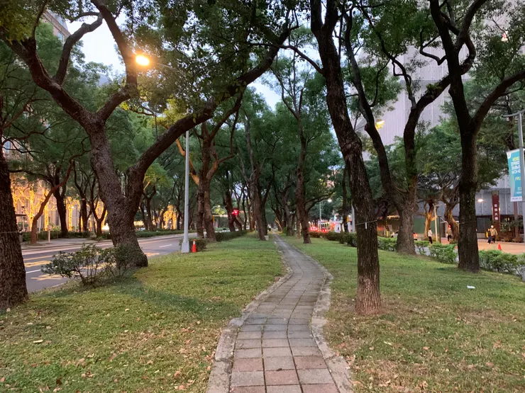 車道間的安全島上有步道喔！🤭