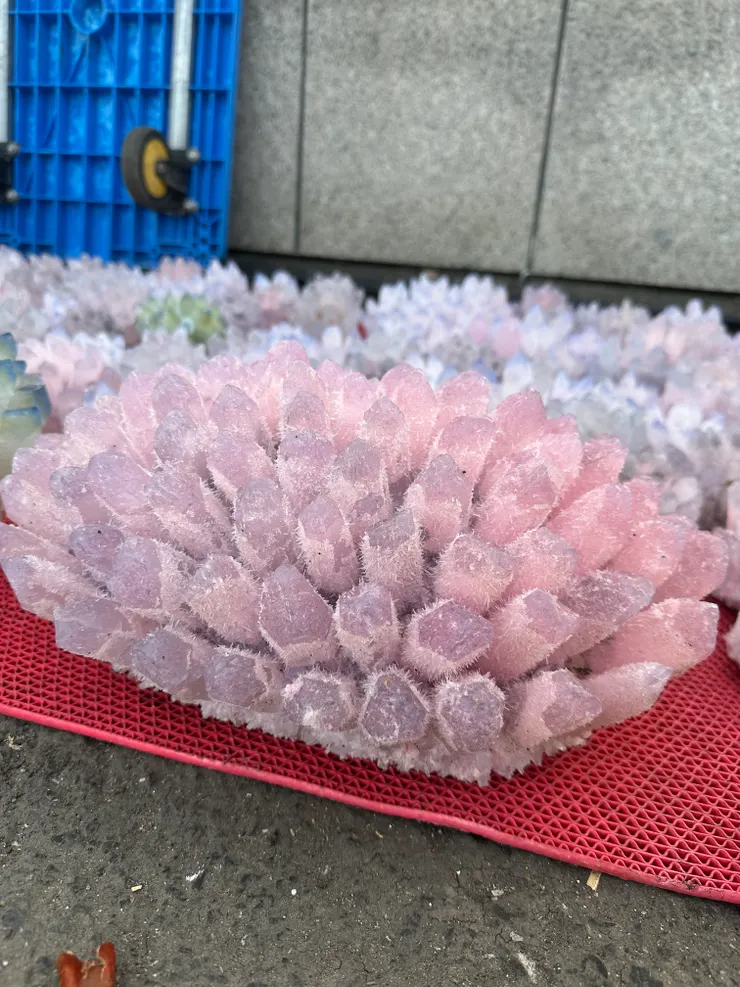 人工水晶，養晶