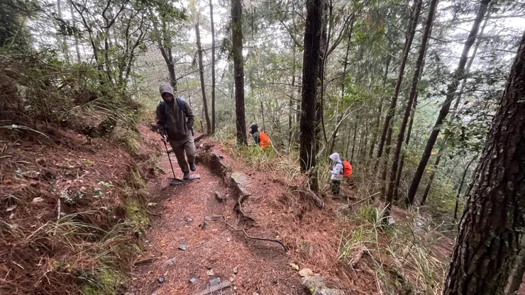 約2.5K處,七卡山莊 (2K) 之後的1K是連續Z字陡坡