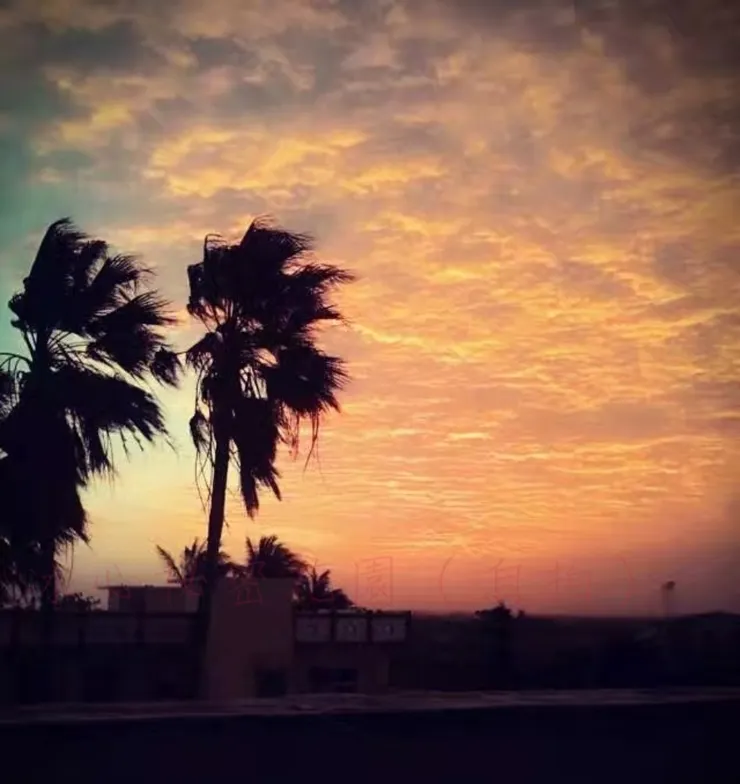 冰心秘密花園（家後陽台）