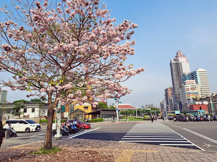 霉女拍攝於2024.04.11