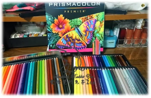 來源：自己拍攝