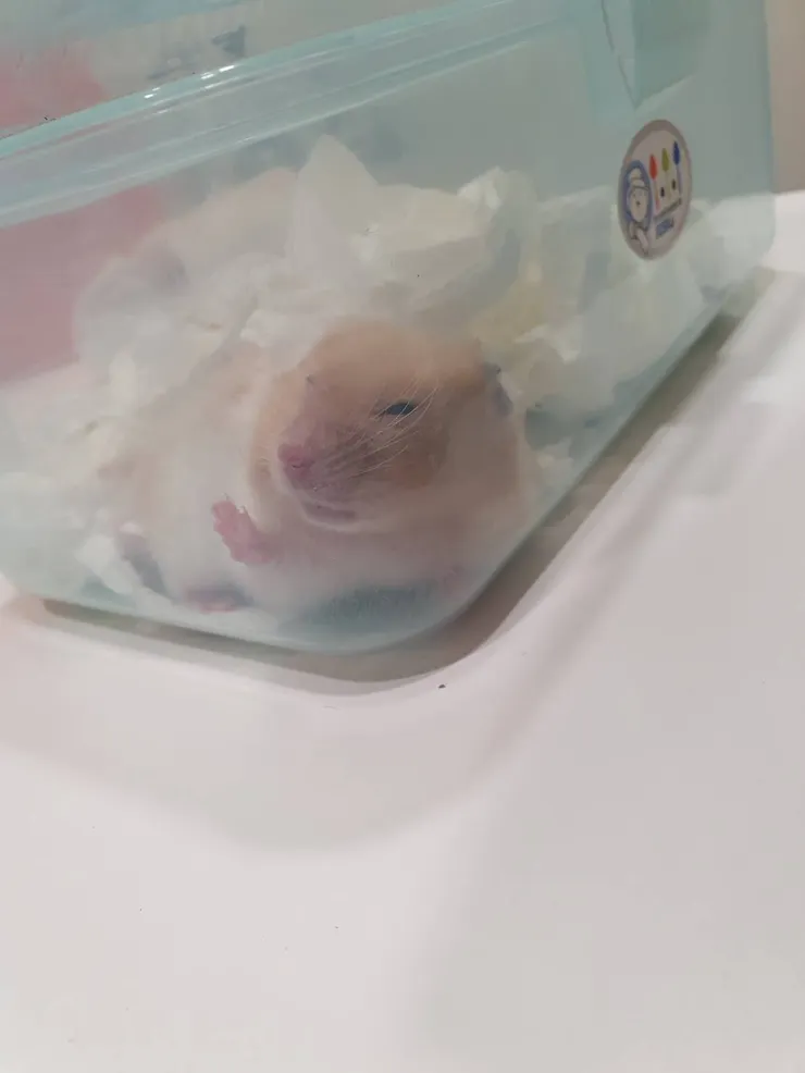 好累，又來看醫生了