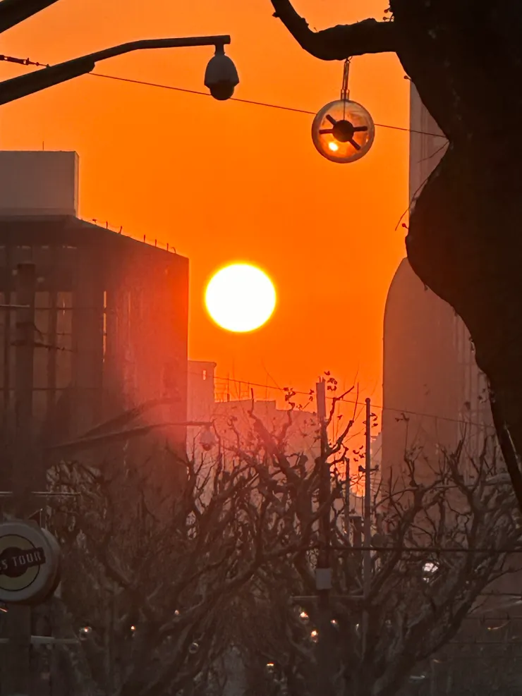 在忙茫盲的日子裡，我努力過活，也曾歡呼，也曾嘆息，更不忘尋求美的事物以慰藉感性的心靈。（圖 by Vina)