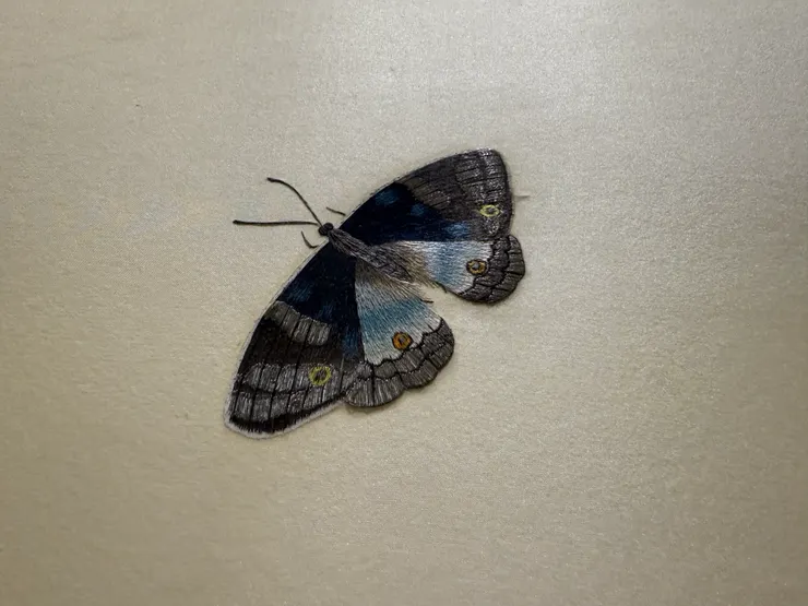 畫上貼上的蝴蝶，做工精細，可以看到一條一條的線路