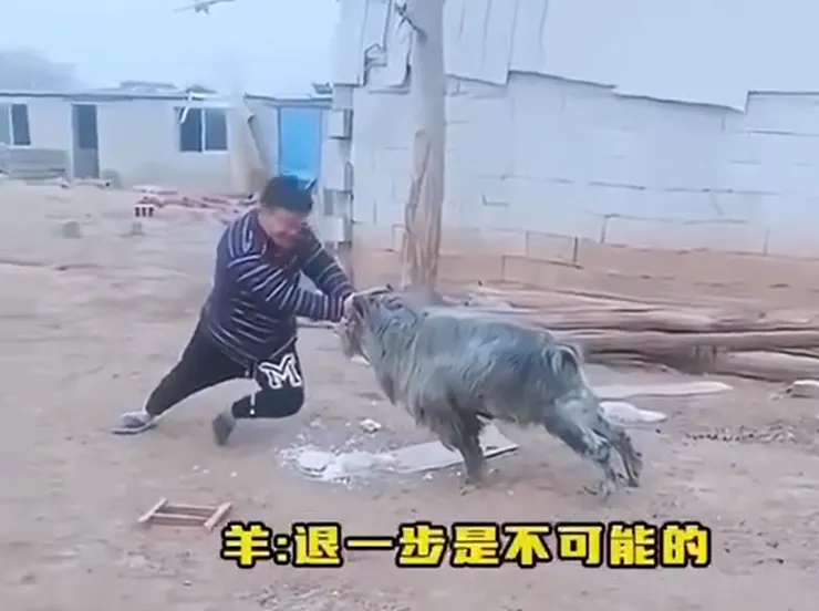 圖:Bili Bili