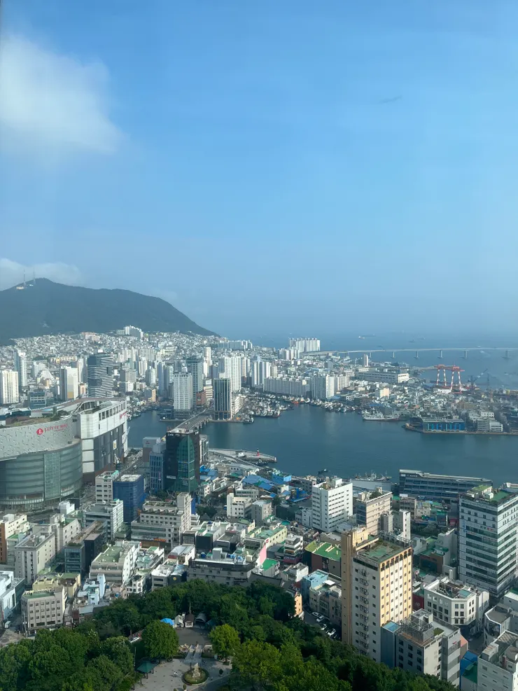 釜山市區搭配海景。