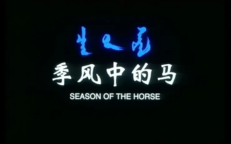 季風中的馬 2005