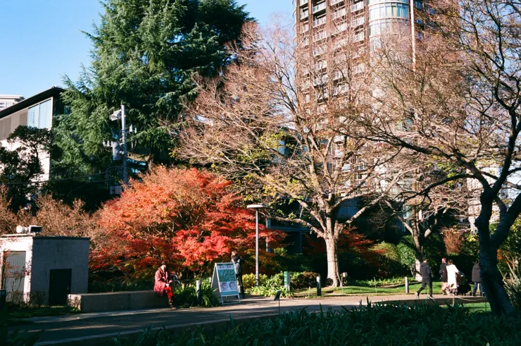 FUJIFILM Natura Classica - FUJI Premium400