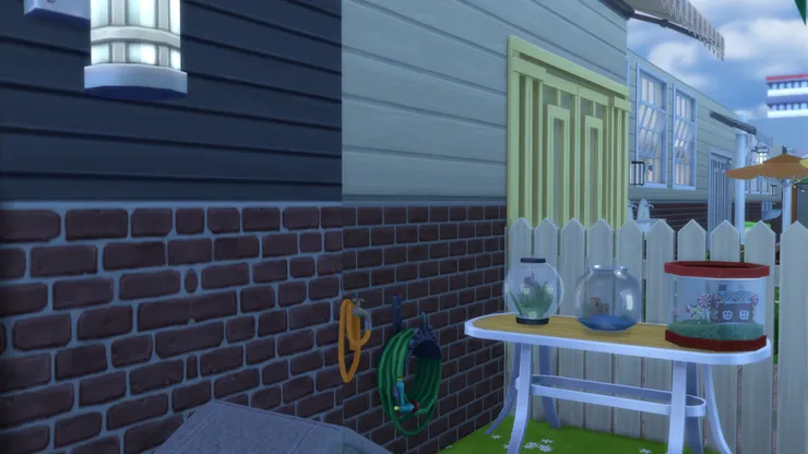 靠近門那邊放了魚缸和水族箱，飼養魚類和烏龜。