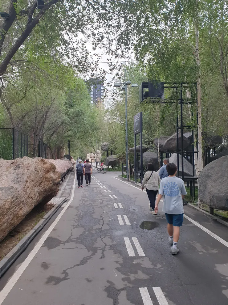 除了馬,園區道路一邊收藏近億萬年前的硅化木,一種木頭在地質作用下變成石頭的化石,另一邊是大量的黑鐵質隕石