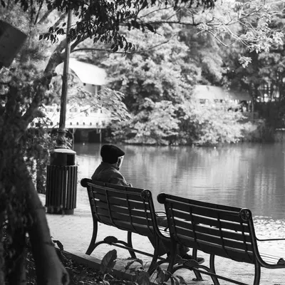 從老鼠賽跑中贖回人生