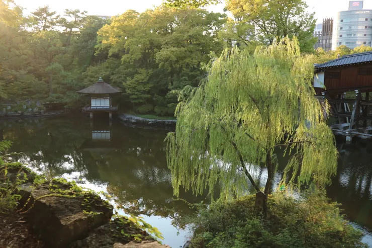 聽說秋天映著楓葉🍁會超美的庭院