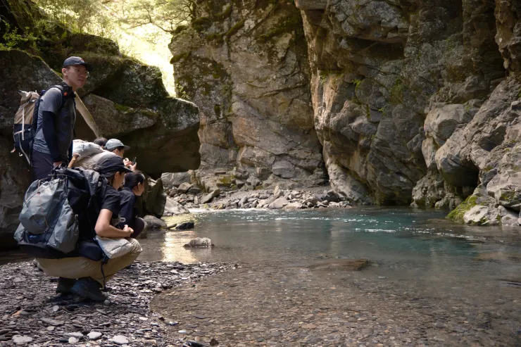 主角們來了！來合歡溪怎麼能不好好欣賞一下2000元上的國寶魚——櫻花鉤吻鮭