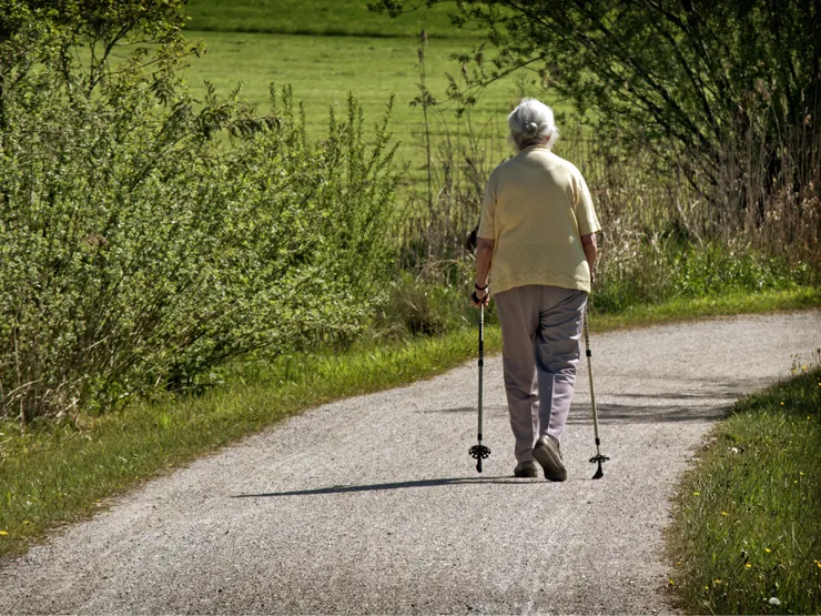 現代社會已逐漸高齡化，65歲以上的老年人口已達到近20%。