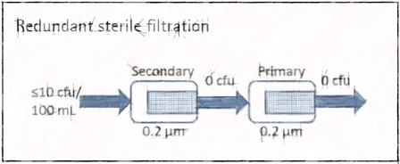 餘贅無菌過濾 Redundant sterile filtration 