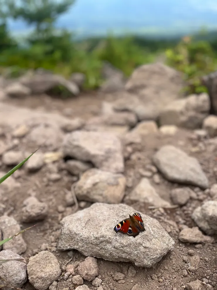 從四阿山下來最大的禮物，是這雙停著看著我笑的眼睛