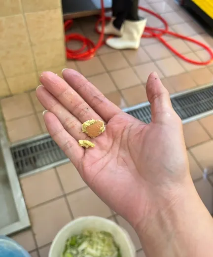 打菜時發現超大蛋殼