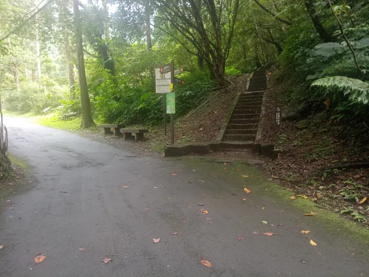 自導步道與健行步道分叉口