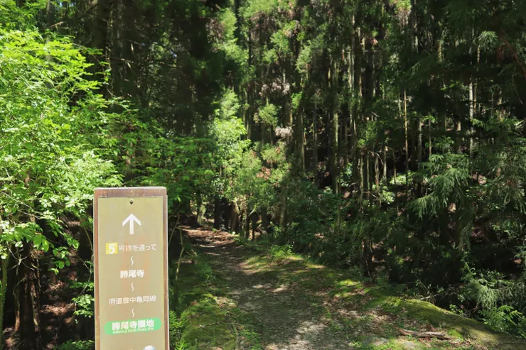 穿越馬路，自然研究路５號路口