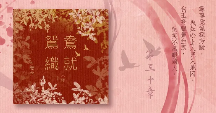 《鴛鴦織就》附錄：《鴛鴦織就欲雙飛》卷六第30章