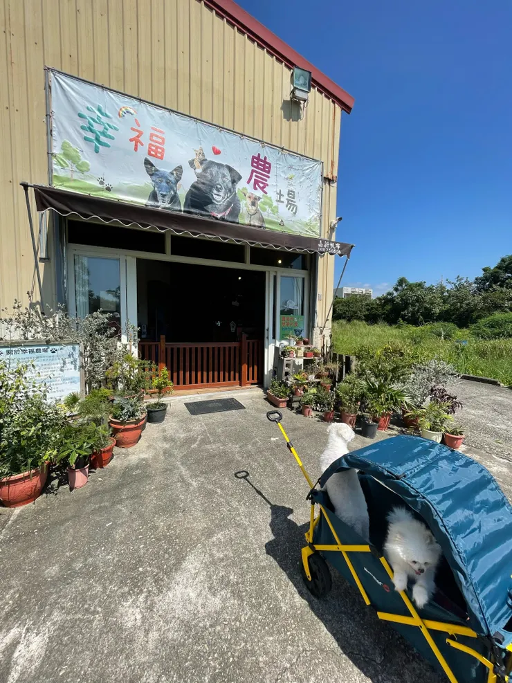 狗狗比我們還興奮