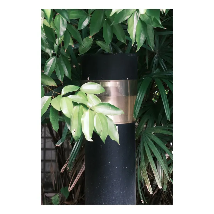 猶抱琵琶半遮面